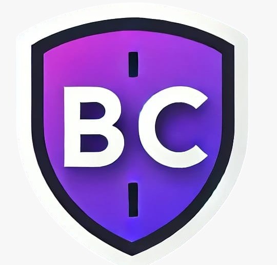 BingChecks Logo